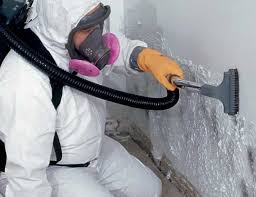 Professional Mold Removal in Fairmount, NY